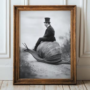 May include: Black and white framed print of a man in a suit and top hat riding a giant snail. The image is in a wooden frame and is displayed against a white wall and wooden floor.