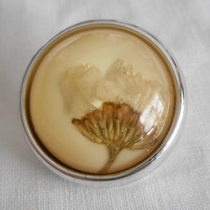 May include: A silver-toned button with a clear dome containing a pressed white flower with brown accents.