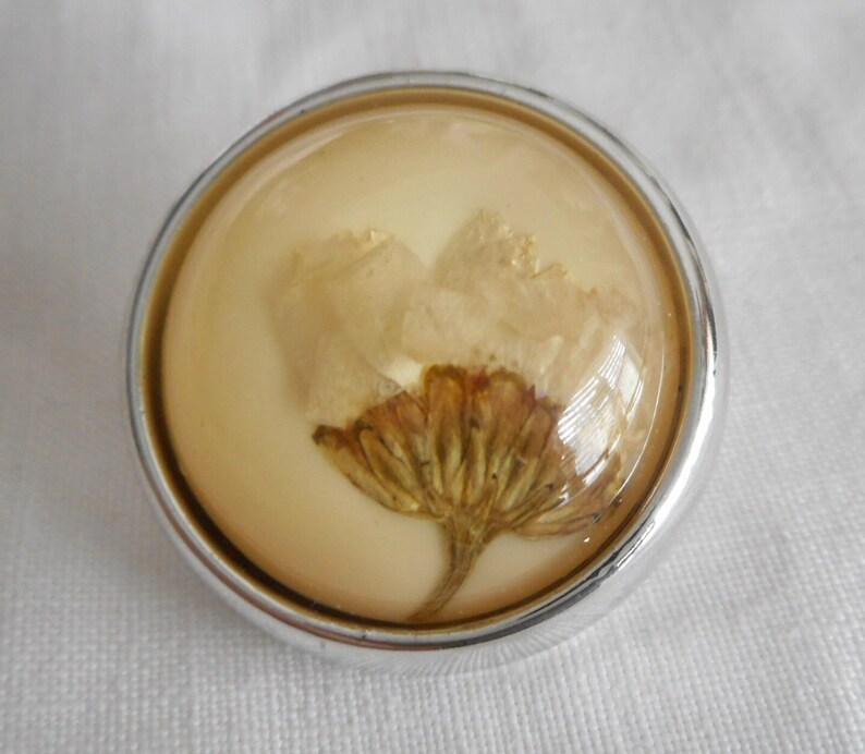 VINTAGE 1 1/8 Natural Flower Bud Habitat in Acrylic Plastic Dome Clothing Adorn Embellish Sewing Supply Craft Closure Fastener BUTTON image 1