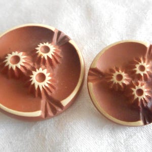 May include: Two vintage brown buttons with a circular design. Each button features three cream-colored, star-shaped embellishments in the center. The buttons have a light cream-colored border and are set against a white background.