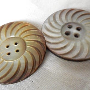 Set/ 2 Vintage 1  7/16”  Abalone Shell Buttons, Swirl Carved Sew Thru