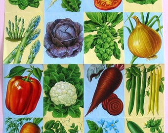 Double Sheet Vegetables Victorian Scrap Paper Out of Print New Old Stock