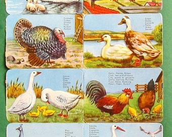 Vintage Victorian Paper Scrap Domesticated Birds Storks Turkey NOS