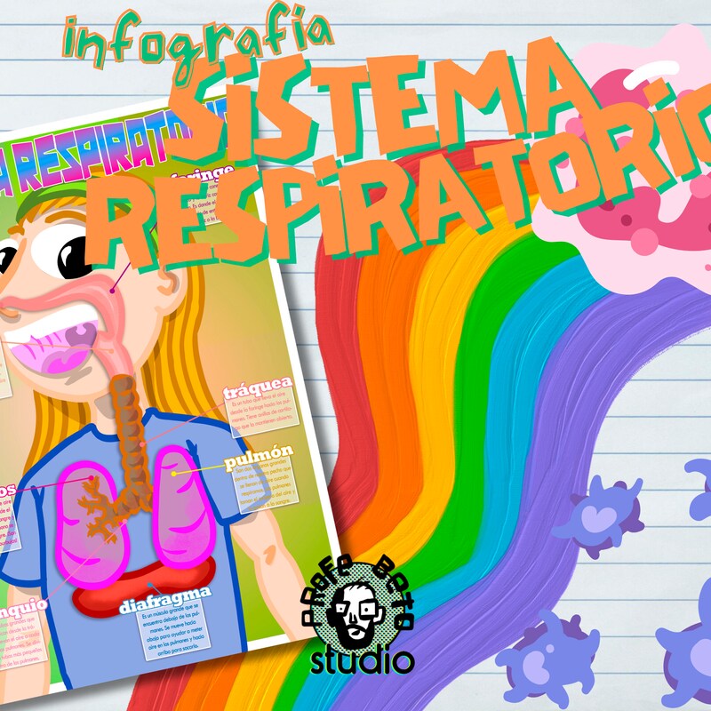 Respiratory System Poster for Classroom - Etsy