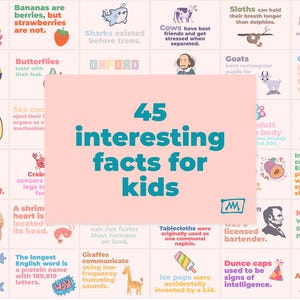 Druckbare Fun Fact Karten für Kinder, sofortiger Download Lernkarten, Lunch Box Notizen druckbar, Back to School Notizen