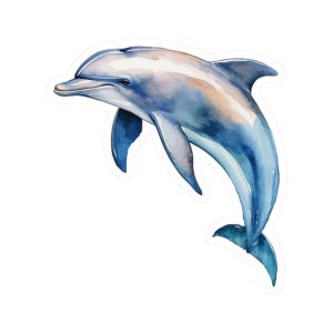 Dolphin Sticker