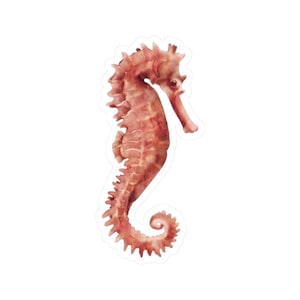 Seahorse Sticker