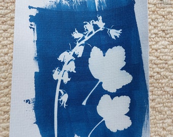 Impression cyanotype A5