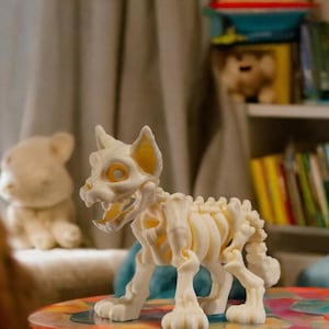 May include: A white plastic skeleton of a cat with a toothy grin, standing on a colorful table. The cat skeleton is posed in a walking position with its legs and tail extended.
