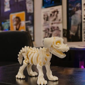 May include: A white plastic skeleton of a dog, standing on a dark surface. The skeleton is articulated and has a realistic pose.