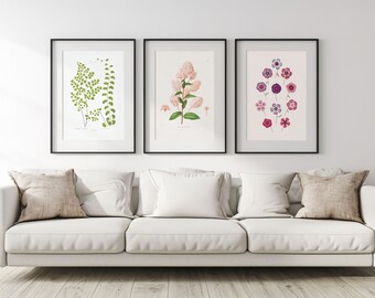 Botanisch-Set van 3-digitale prints-Interieurs-Vintage poster-Wandkleden-Bloemen-Bloemen-Bladeren-Wit-Roze-Groen-Downloadbaar-Hugis Studio