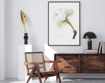 Cactusbloem slang-botanisch-illustratie-interieur-poster-muurdecoratie-huis-digitale prints-afdrukbare muur kunst-galerij muur-Hugis Studio