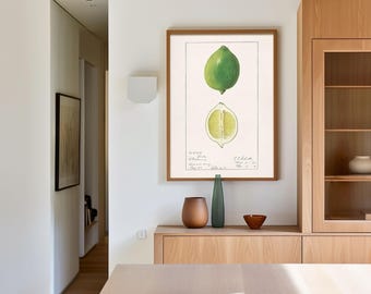 Limoen-citrus-Ellen Isham Schutt-aquarel-eten-drank-fruit-mexico-interieur-muurdecoratie-keuken-digitale prints-galerijmuur-Hugis Studio