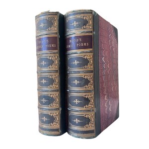 Thomas Hood Poems Zestaw poważnych i komicznych książek poetyckich, ilustrowany rocznik 1800. Książka poetycka, oprawiona w półskórę, rzadki, pomysł na prezent dla miłośnika książek