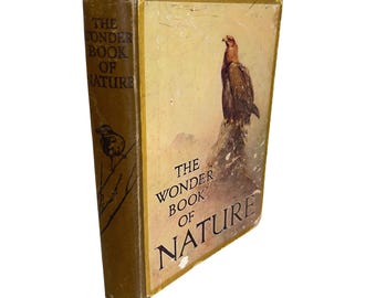 Naturens förundrande bok för pojkar och flickor, Ward Lock & Co Limited