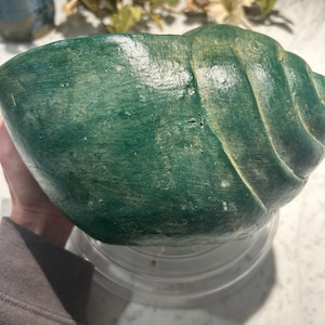 Puede incluir: Un macetero de cerámica verde en forma de concha de mar con una superficie texturizada. El macetero está vacío y listo para plantar.