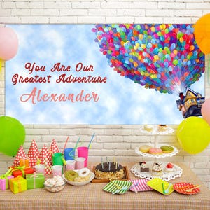Up Party Banner, Pastel Up Party Birthday Backdrop, Up Falling Party Banner E1MH29