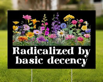 Social Justice Activist Sign, Gift for Socialist, Liberal Accessory, Basic Decency, Democracy Socialist Radicalized by Basic Decency OHRG15