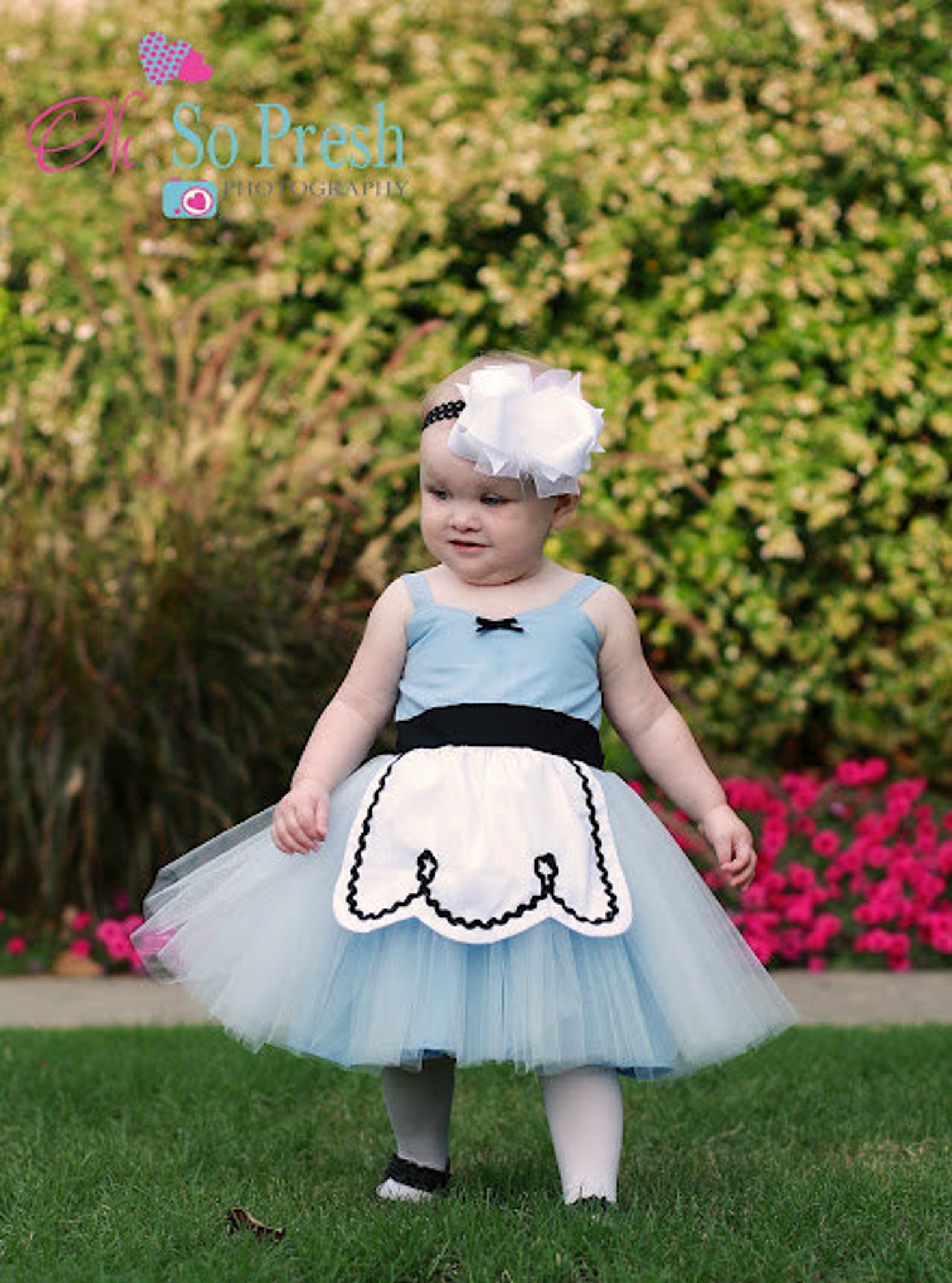 ALICE IN WONDERLAND dress baby 1st birthday costume dress Etsy