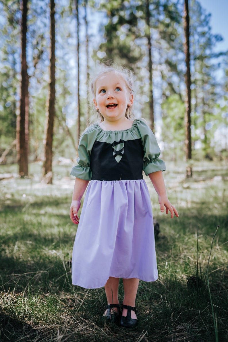 briar rose diy costume