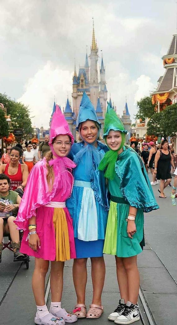 Flora Costume, Fauna Costume, Merryweather costume, Disney Group costume  idea, Sleeping Beauty Fairy Size: SM/MED 0-12/14 US women's letter