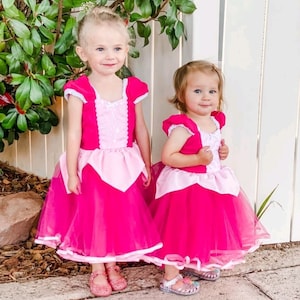 24+ Sleeping Beauty Fairies Costumes