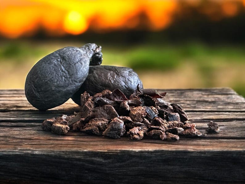 Full Dry Castoreum Grains Pure Authentic - Etsy