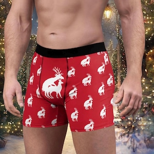 Funny Men&#39;s Boxer Briefs, Quirky Underwear, Novelty Boxers, Unique Gift for Him, Frolicking Remainders