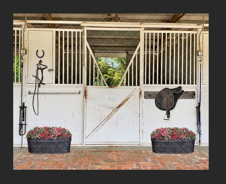 digital background Riding theme saddle barn Digital backdrop Horse stable composite art supply reins Digital art supply