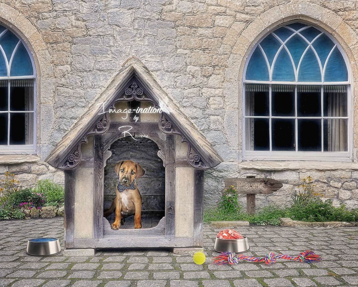 3 dog house digital backgrounds kennel niche digital Etsy