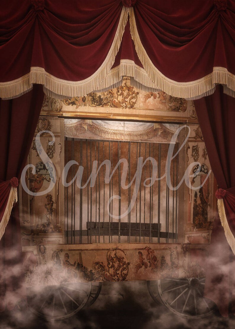 5 pack Vintage Circus Magician fortune teller digital Etsy