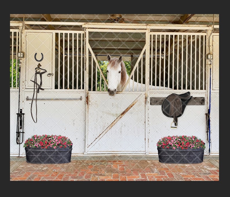 digital background Riding theme saddle barn Digital backdrop Horse stable composite art supply reins Digital art supply