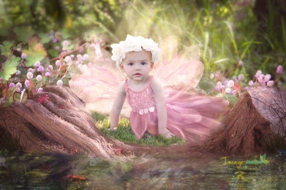 Fairy pack Digital Background digital backdrop Toadstools | Etsy