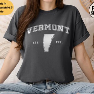 T-shirt unisexe avec sweat-shirt à capuche Comfort Colors Vermont, chemise de style vintage, haut au design rétro, t-shirt State Pride