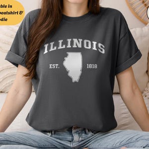 T-shirt ras du cou unisexe graphique Illinois Comfort Colors, sweat-shirt et sweat à capuche, chemise de style vintage, t-shirt State Pride, haut au design rétro
