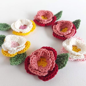 Crochet 3D Peony Flowers Easy Crochet Embellishments image 1