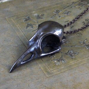 Corvid Skull  -- Handmade Bronze / Sterling Silver Pendant