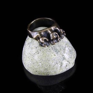 Omnivore Tooth Ring in Bronze or Silver image 5