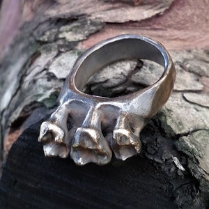 Omnivore Tooth Ring in Bronze or Silver image 1