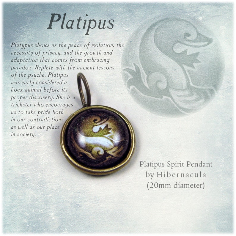 Platypus Spirit Brass Animal Totem Pendant image 2