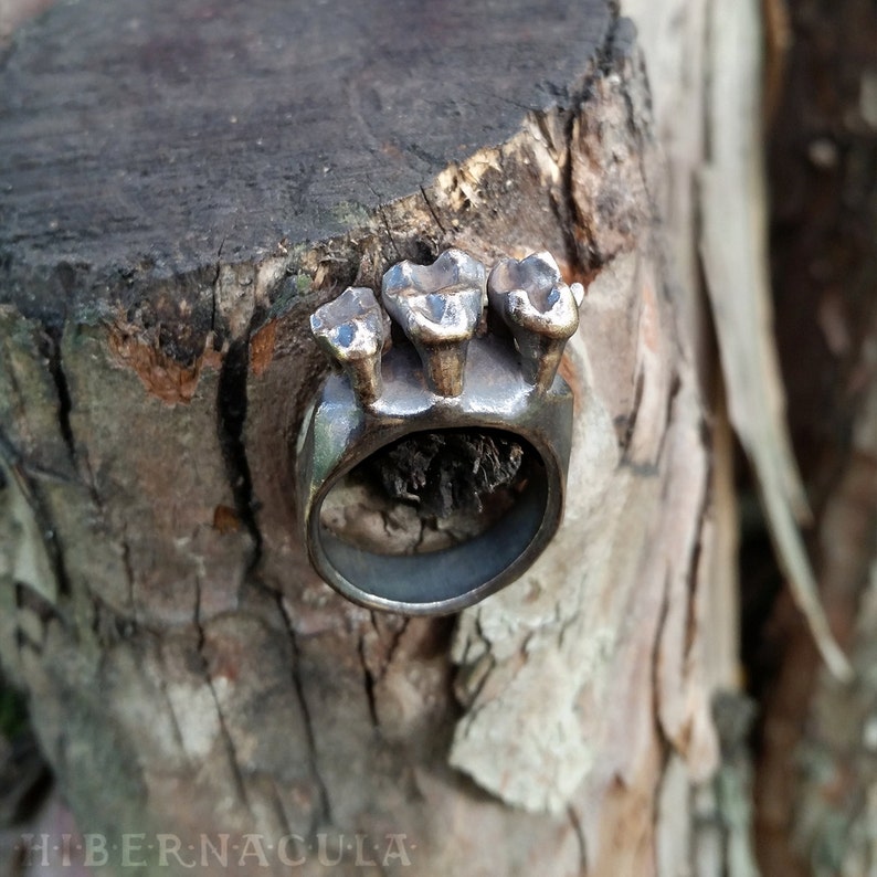 Omnivore Tooth Ring in Bronze or Silver image 2