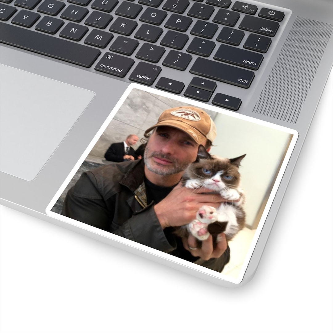 Andrew Lincoln Grumpy Cat Sticker - Rick Grimes Sticker - the Walking ...