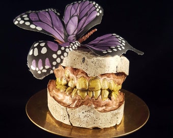 Zombie Dentition Specimens - COM (Customer's Own Mouth)