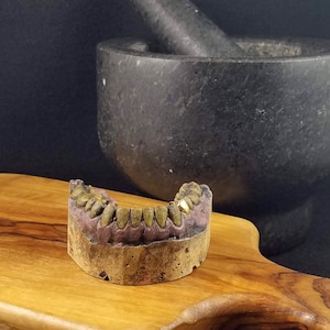 May include: A close-up of a set of gold teeth, also known as grills, on a wooden surface. The teeth are made of gold and have a shiny finish. The teeth are sitting on a wooden surface next to a black mortar and pestle.