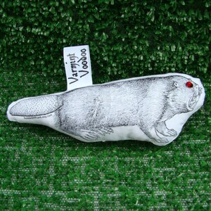 Varmint Voodoo Beaver Doll - Oregon Edition, CalTech, MIT, Gag Gift