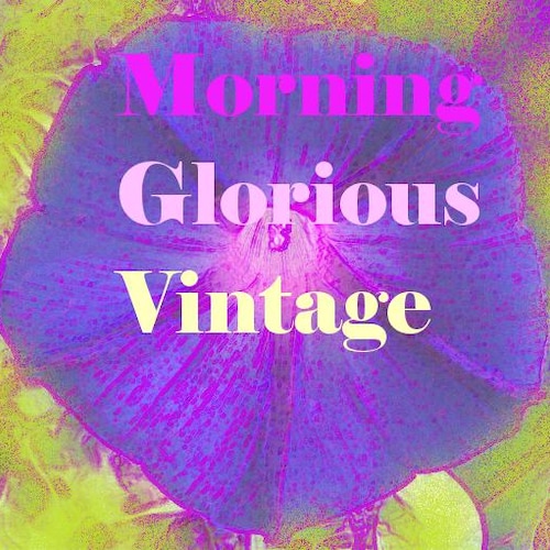 ～70's Painter Pants \