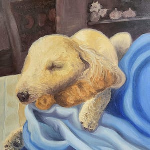 Waffles the Doodle