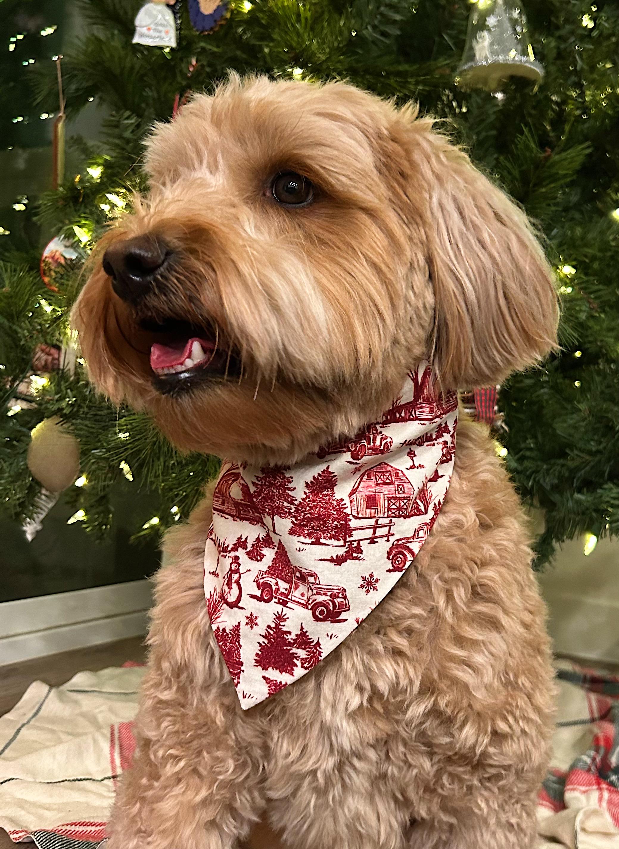 ヴィンテージ クリスマス 犬用バンダナ - Etsy 日本