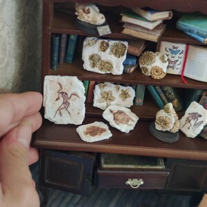 Hallazgo en miniatura de fósiles, miniatura 1/12, arqueología en miniatura, casa de muñecas en miniatura, hecho a mano.
