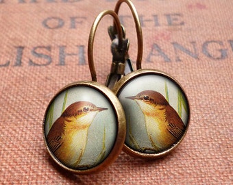 Reed Warbler Leverback Earrings (TB07)